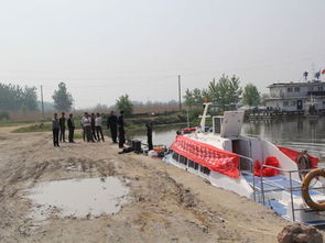 固鎮縣畜牧獸醫水產局開展漁業資源增殖人工放流活動 促進生態漁業發展